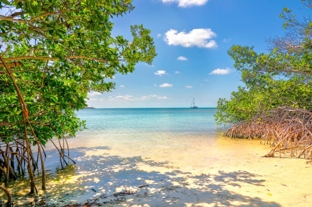 Fiesta Key Rv Resort Waterfront Cottage 36 雷顿 外观 照片